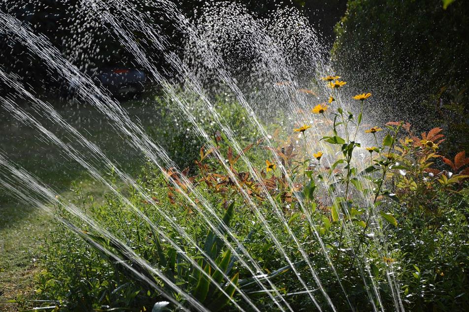 sprinkler